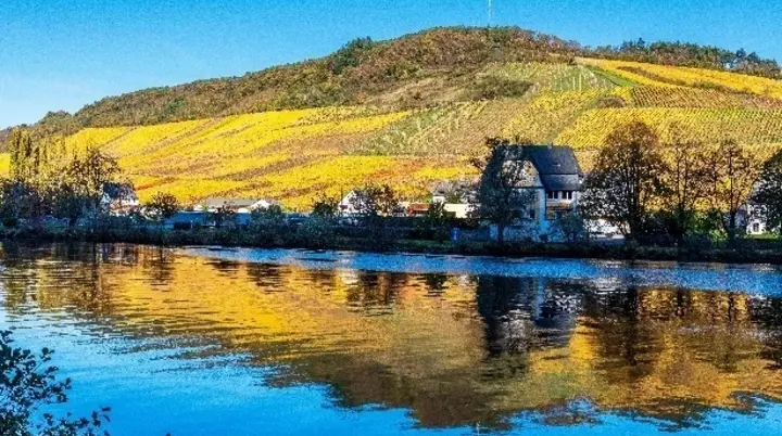 Die Mosel | © Guus Reinartz