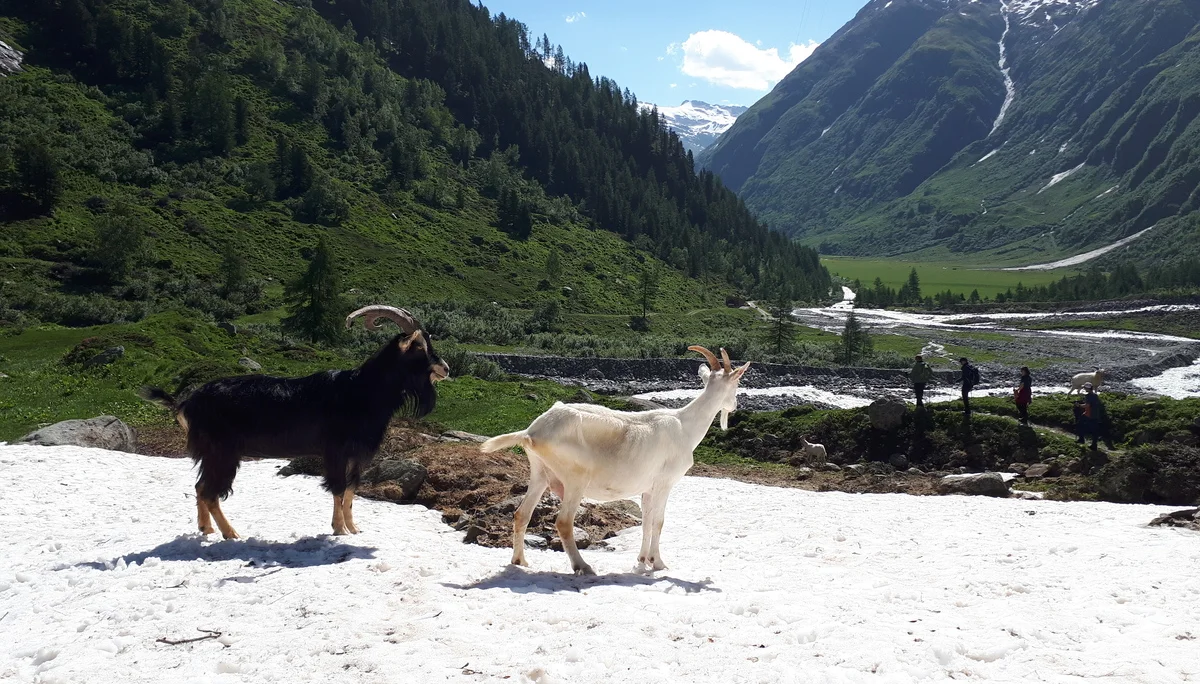 © DAV Koblenz | mrb