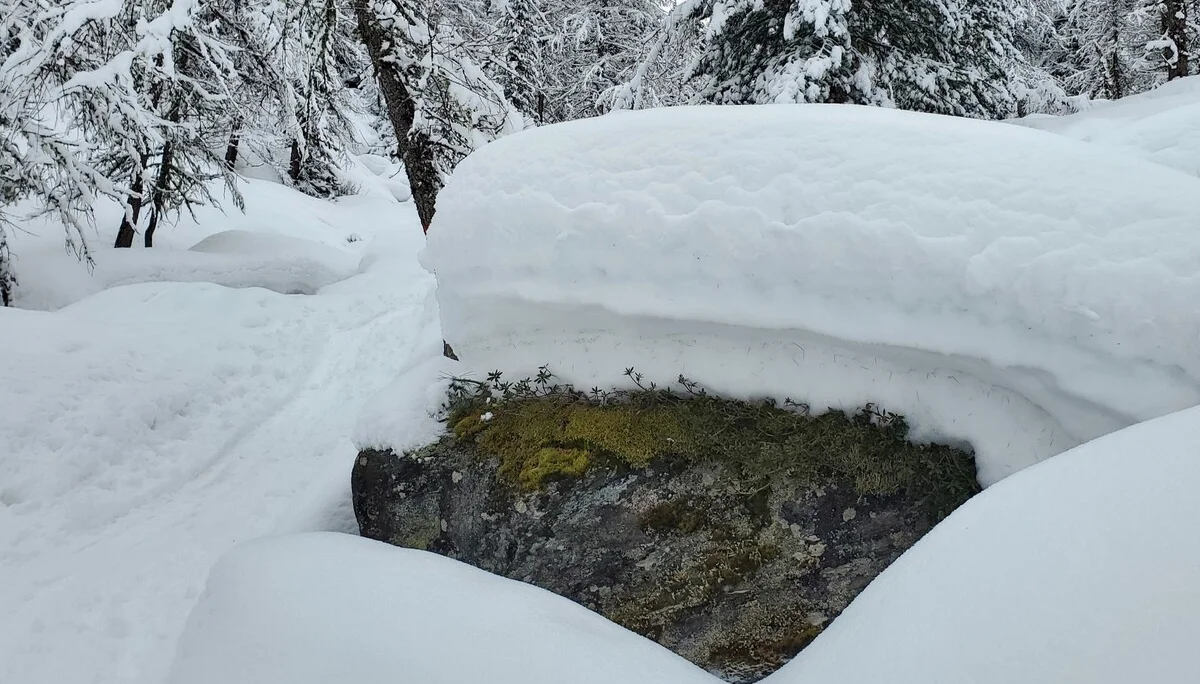 Neuschnee hatten wir am Ende auch | © Uwe Henning