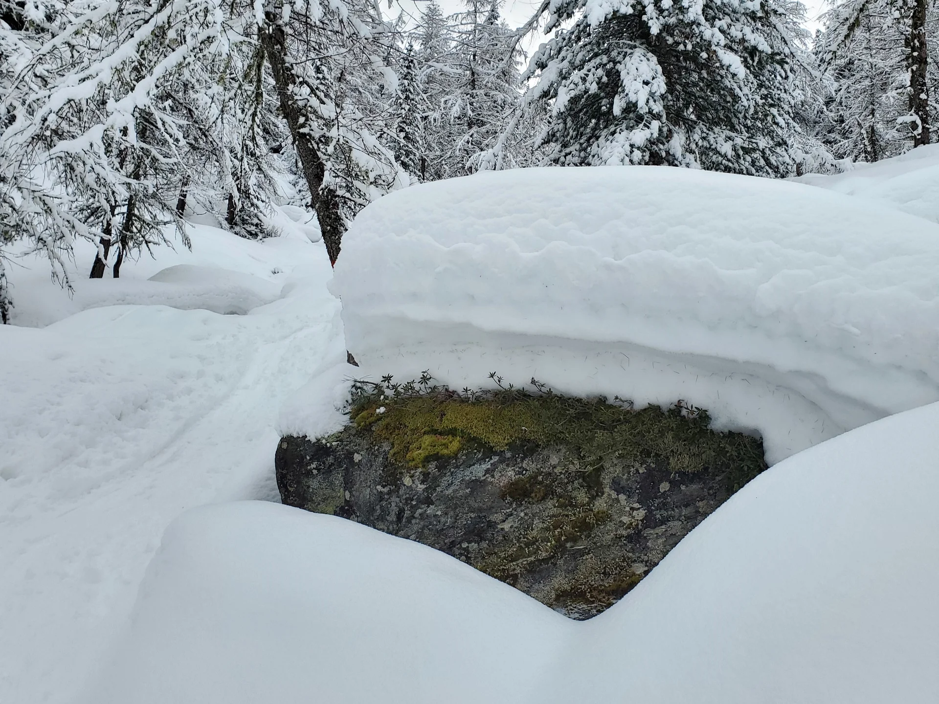 Neuschnee hatten wir am Ende auch | © Uwe Henning