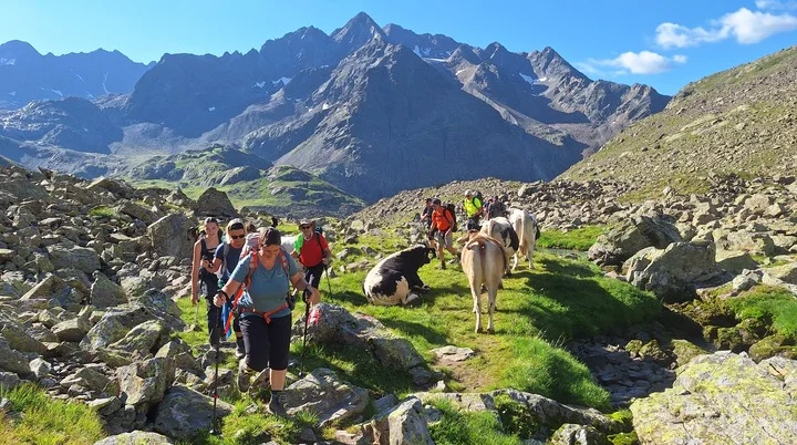 Wandernde Gruppe | © Marcus Roski