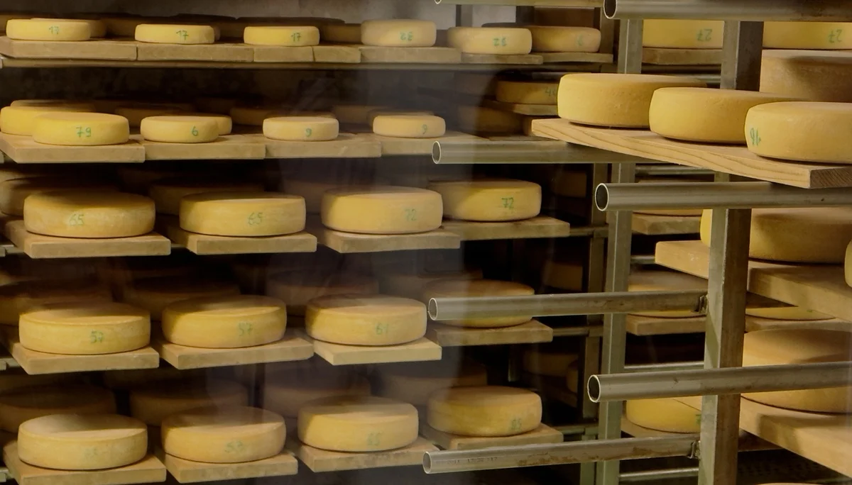 Blick in das Käselager | © Gerhard Horter
