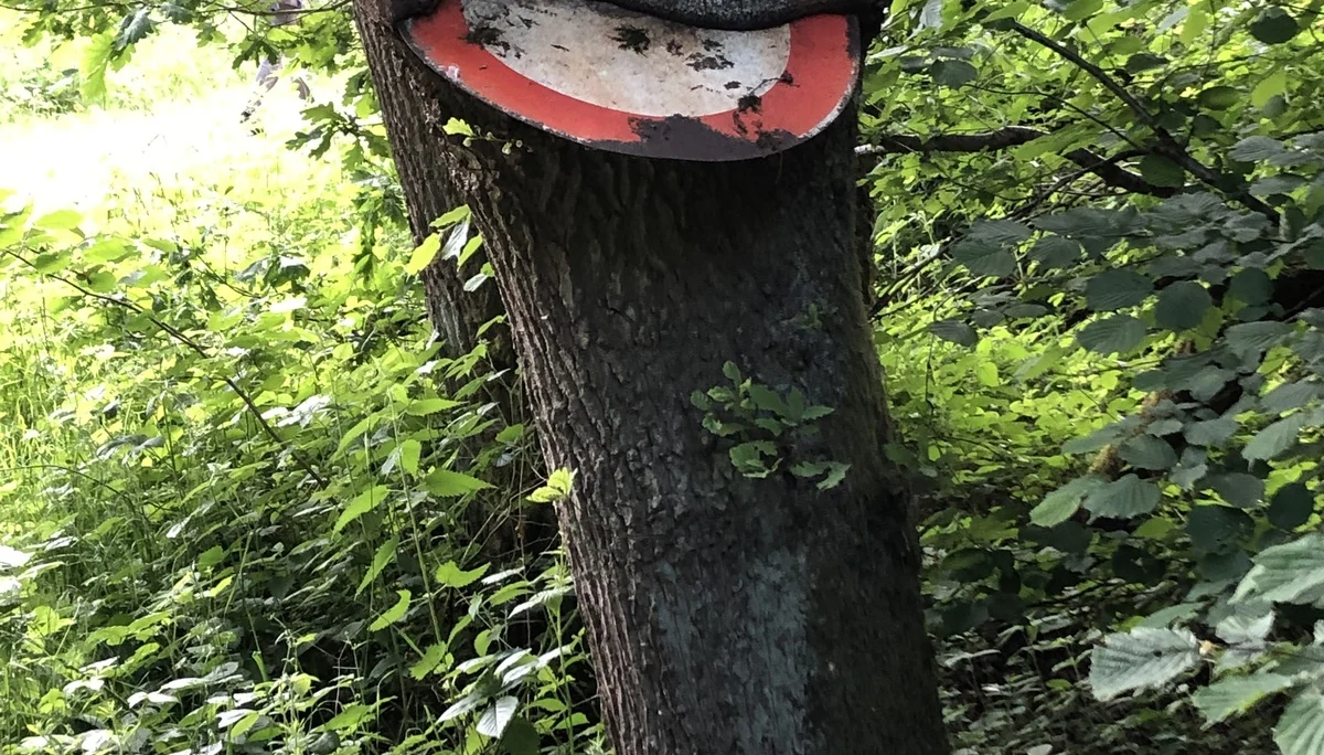 © DAV Bergsteigergruppe