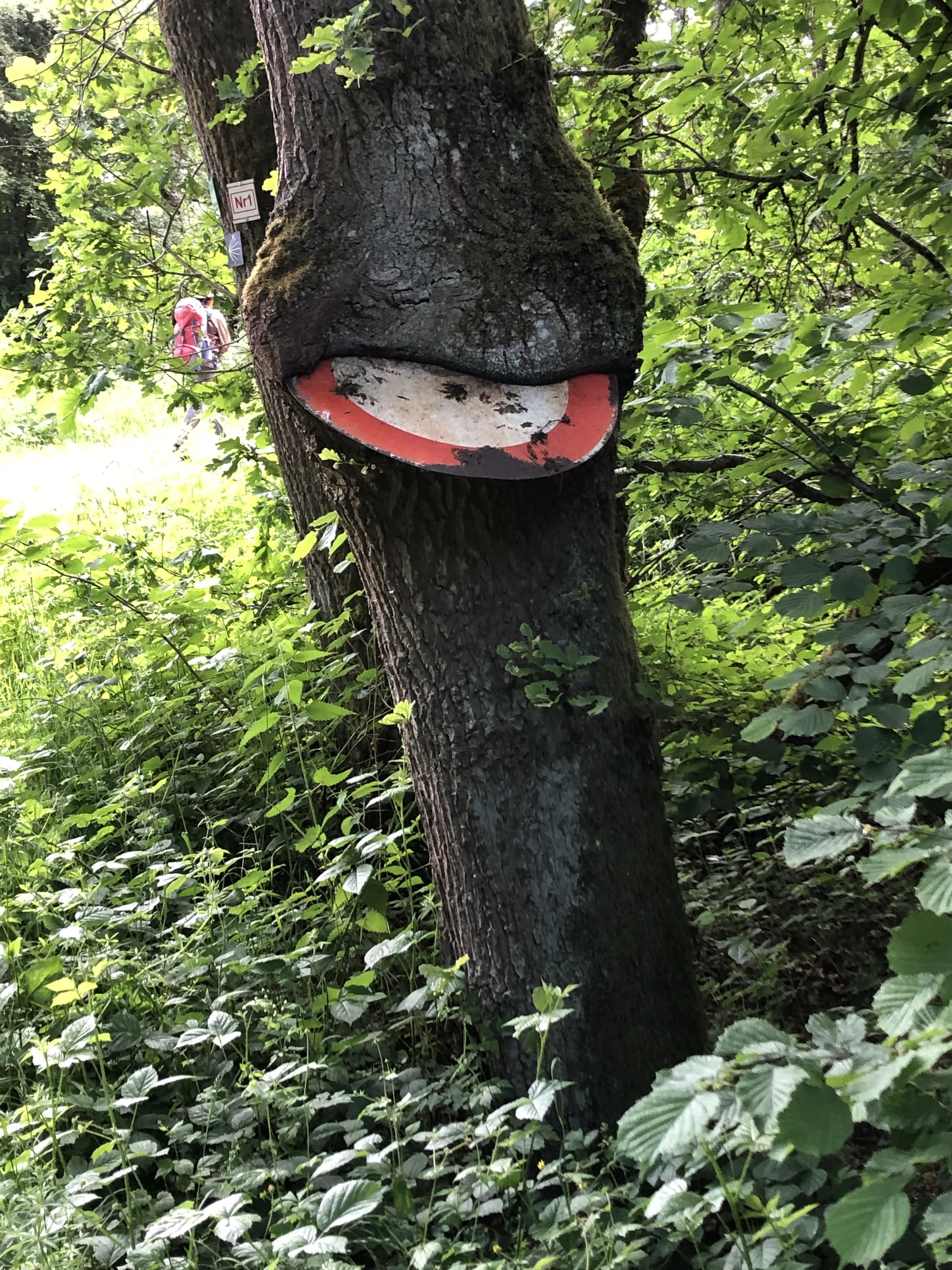 © DAV Bergsteigergruppe