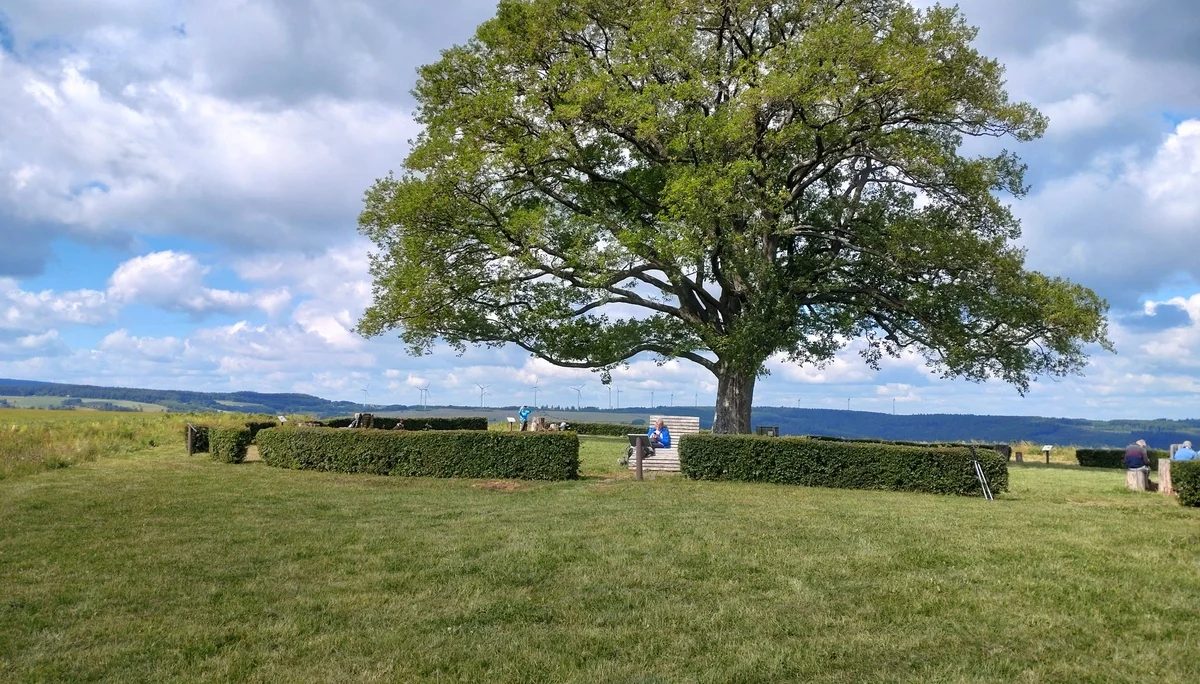 © DAV Bergsteigergruppe