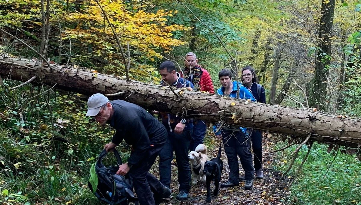 abwechslungsreiche Wege | © Grynet Dauer