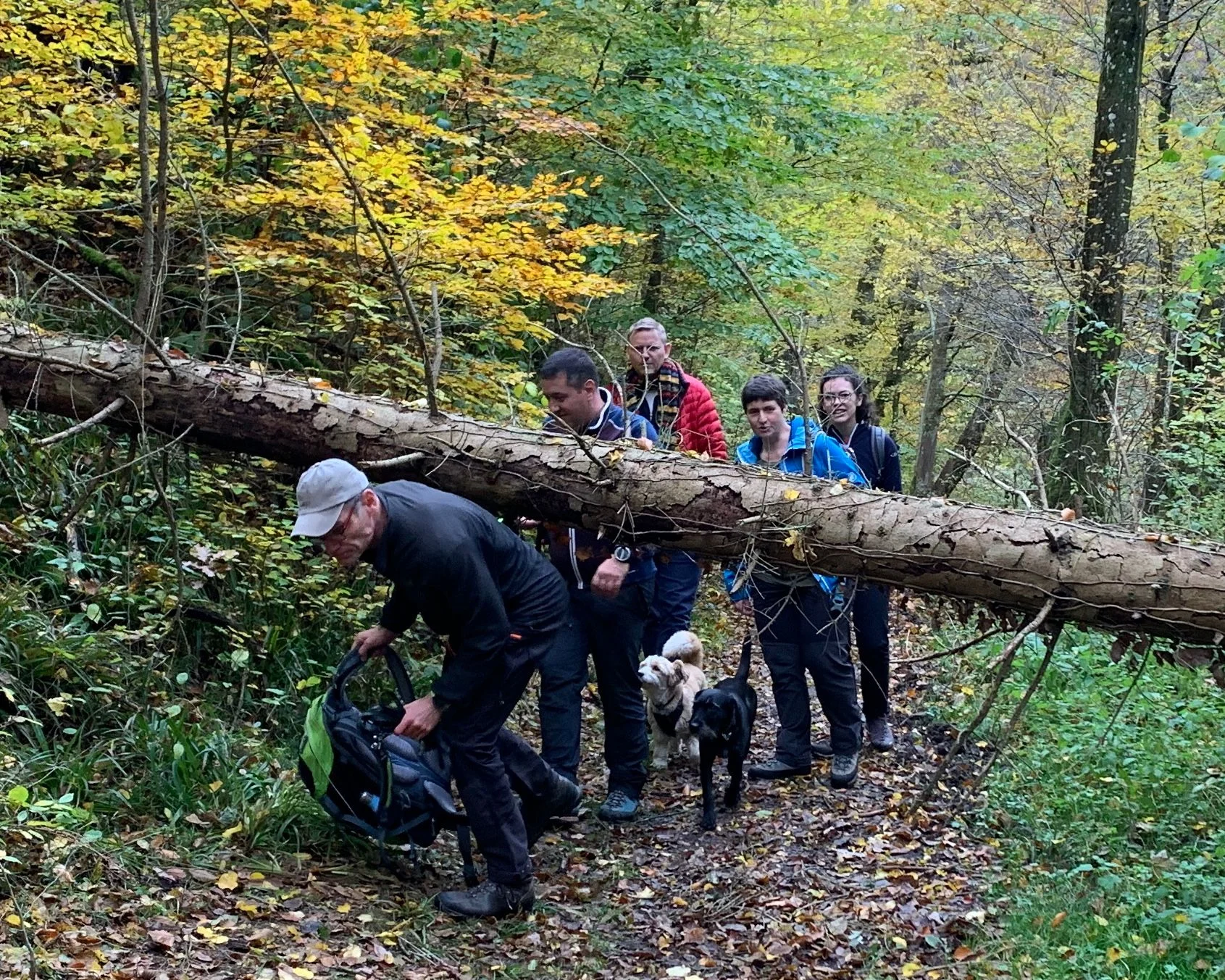 abwechslungsreiche Wege | © Grynet Dauer