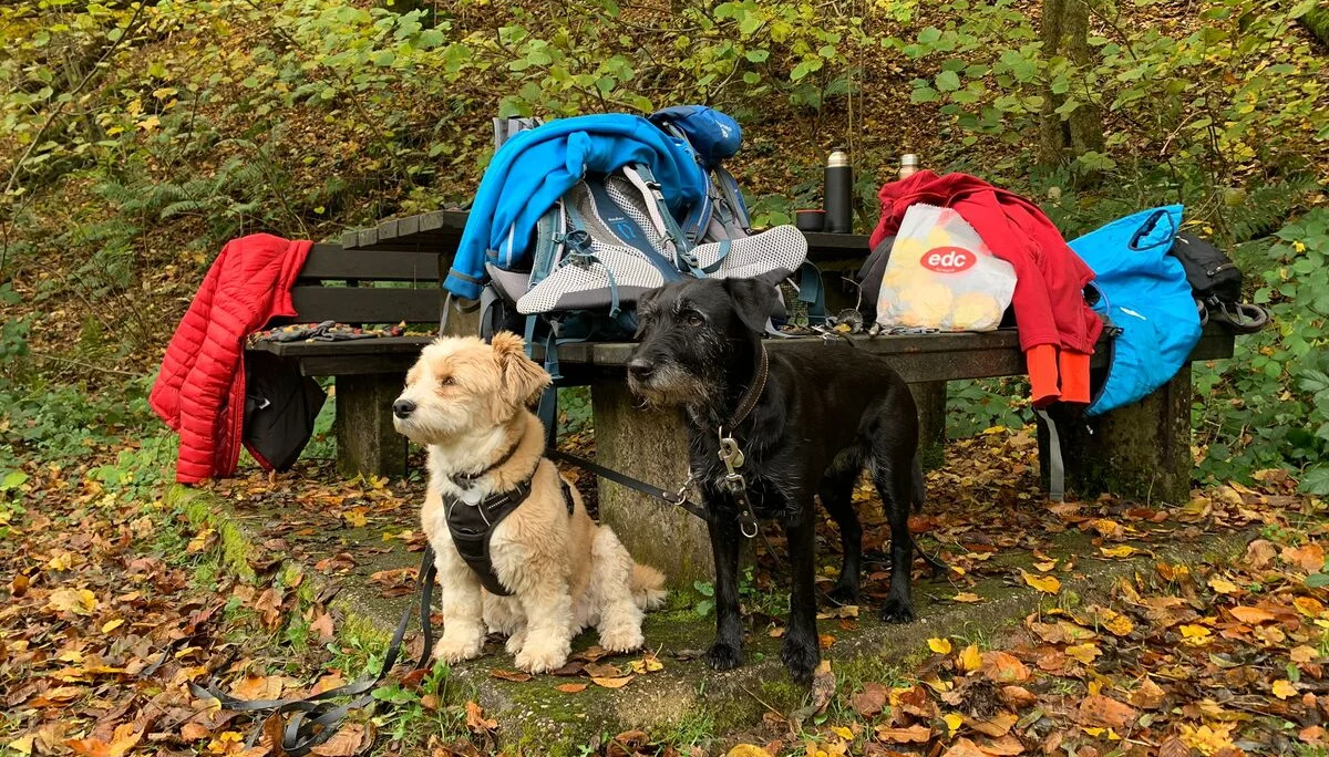 Kelly und Dori | © Grynet Dauer