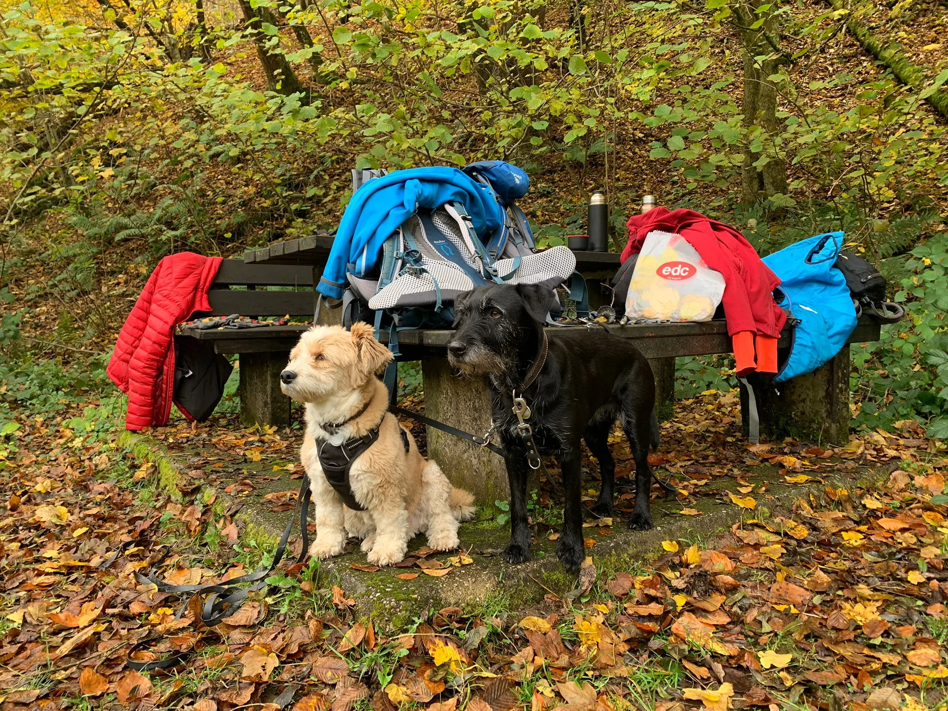 Kelly und Dori | © Grynet Dauer