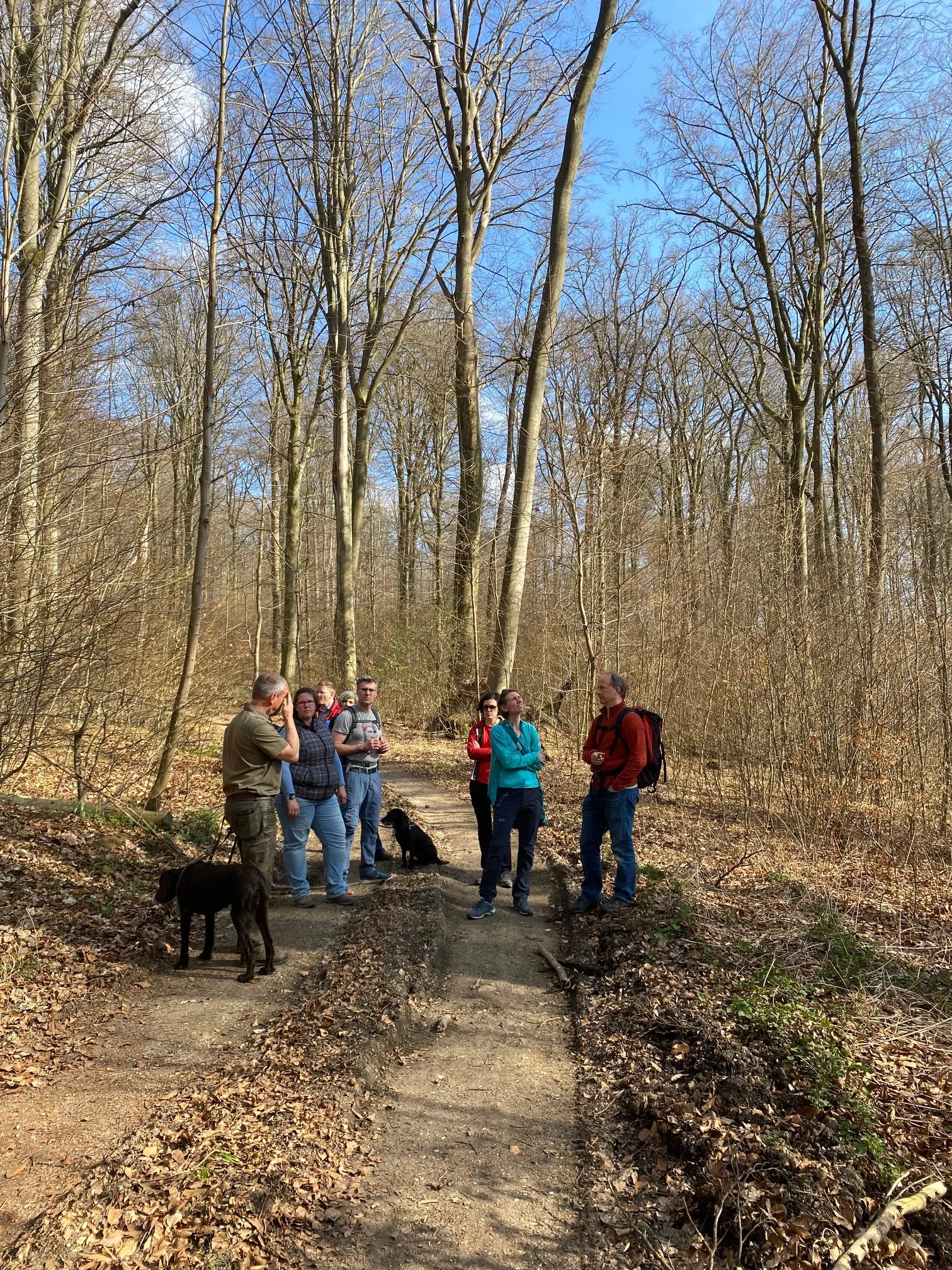 © Christine Hienerth