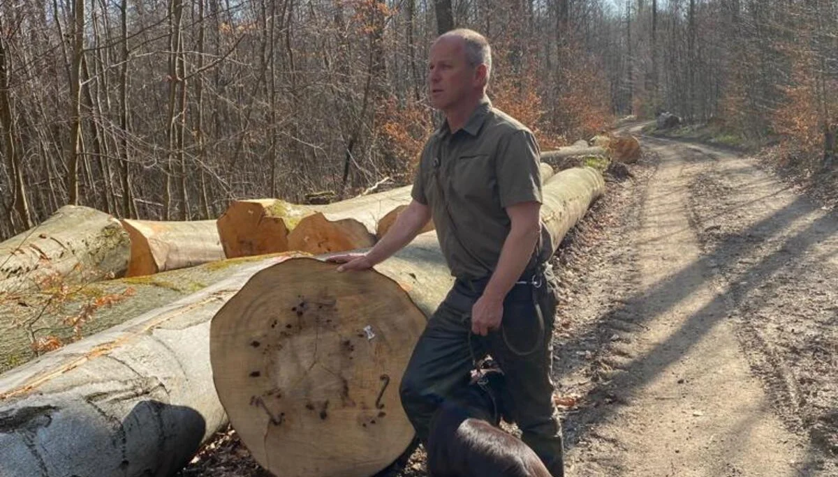 © Christine Hienerth