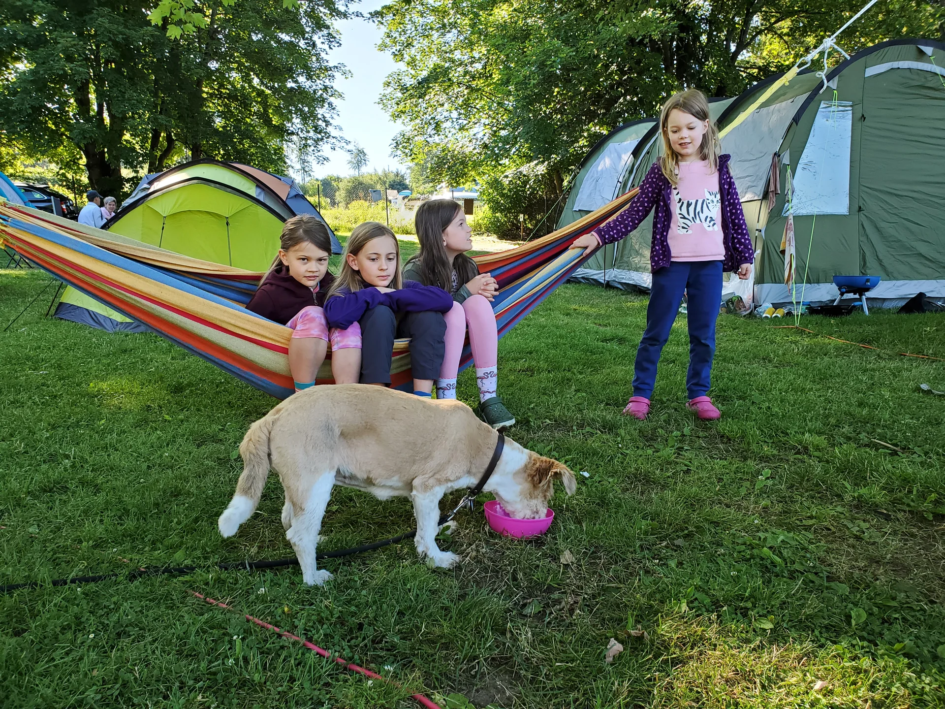 Hängematte | © Uwe Henning