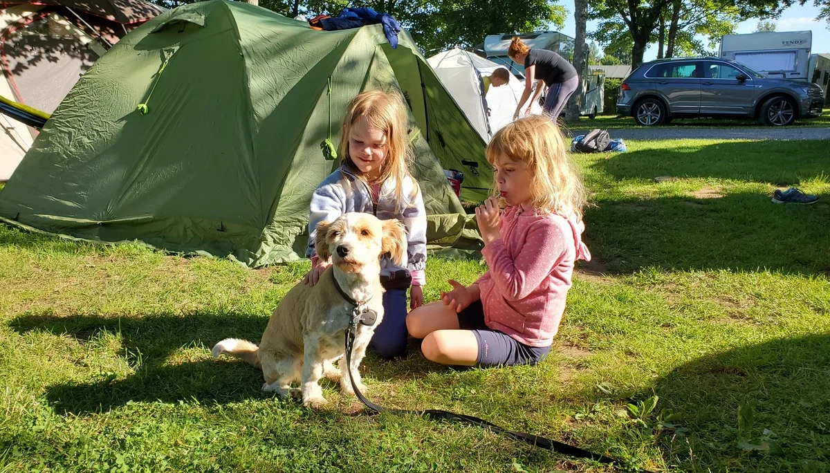 Kelly: immer wieder gerne gestreichelt | © Uwe Henning