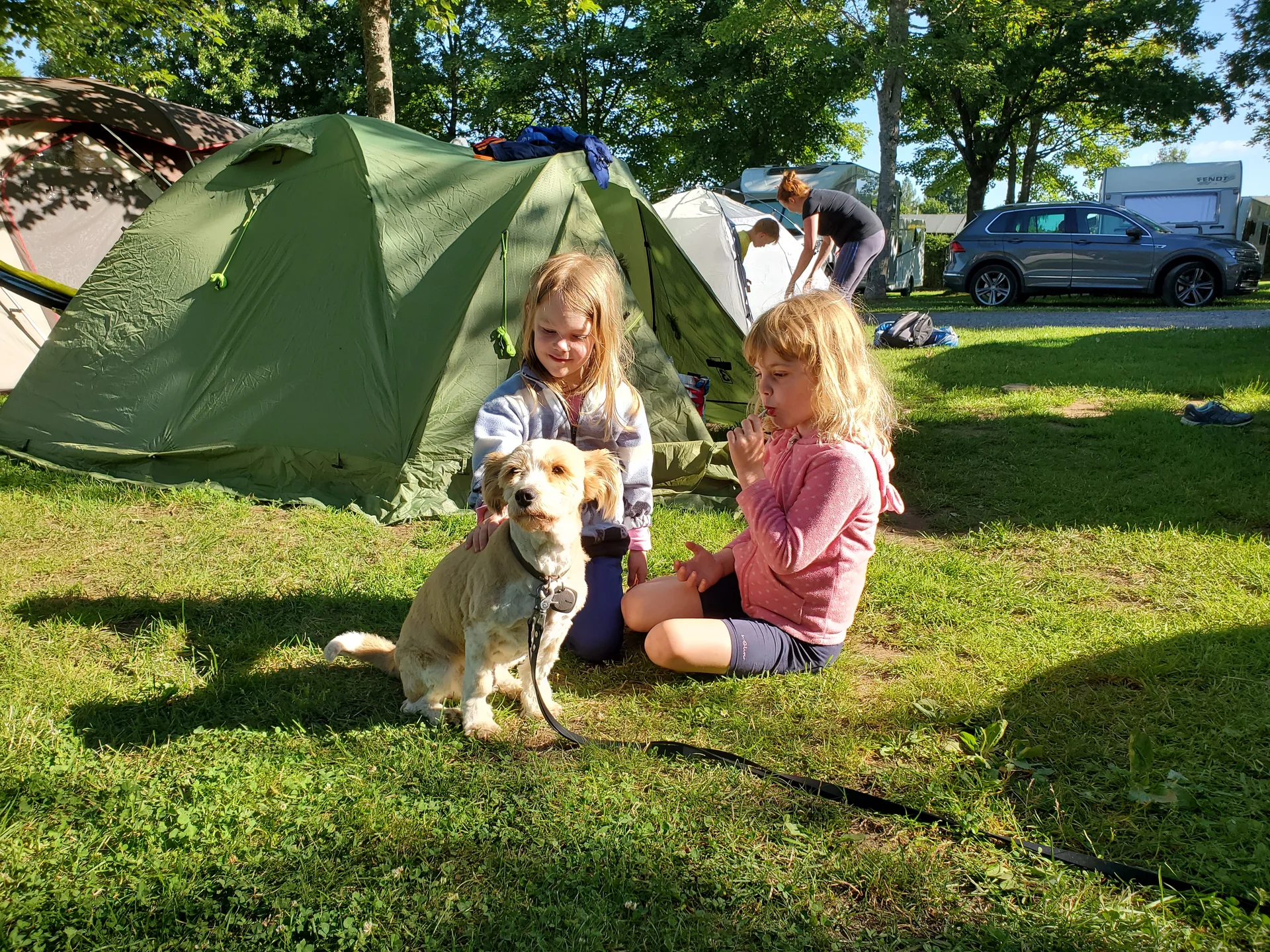 Kelly: immer wieder gerne gestreichelt | © Uwe Henning