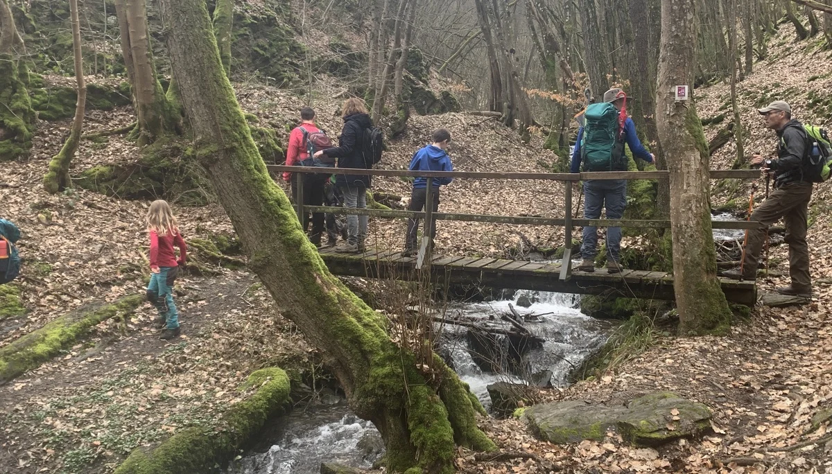 Baybachklamm Brücke | © Grynet Dauer