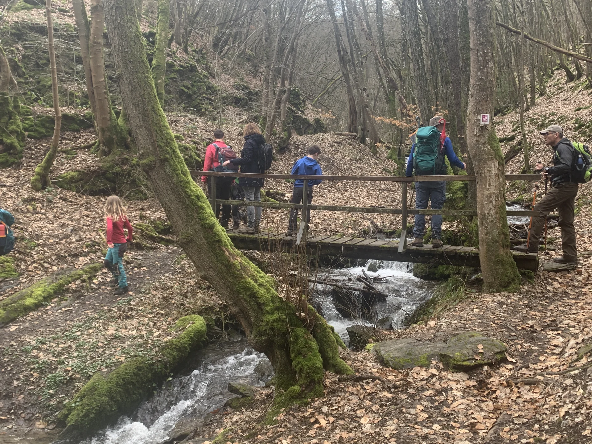Baybachklamm Brücke | © Grynet Dauer
