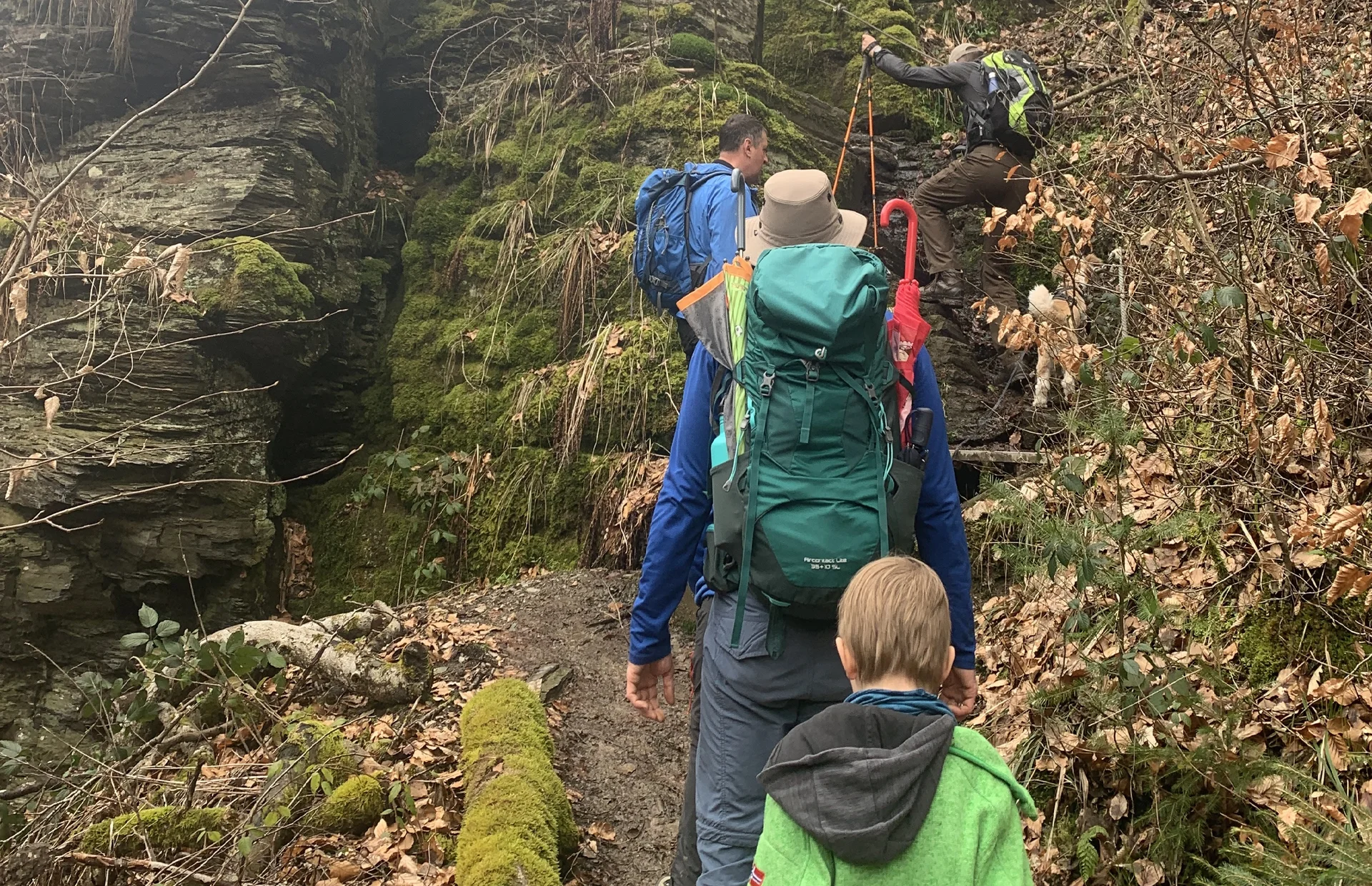 Baybachklamm Aufstieg | © Grynet Dauer