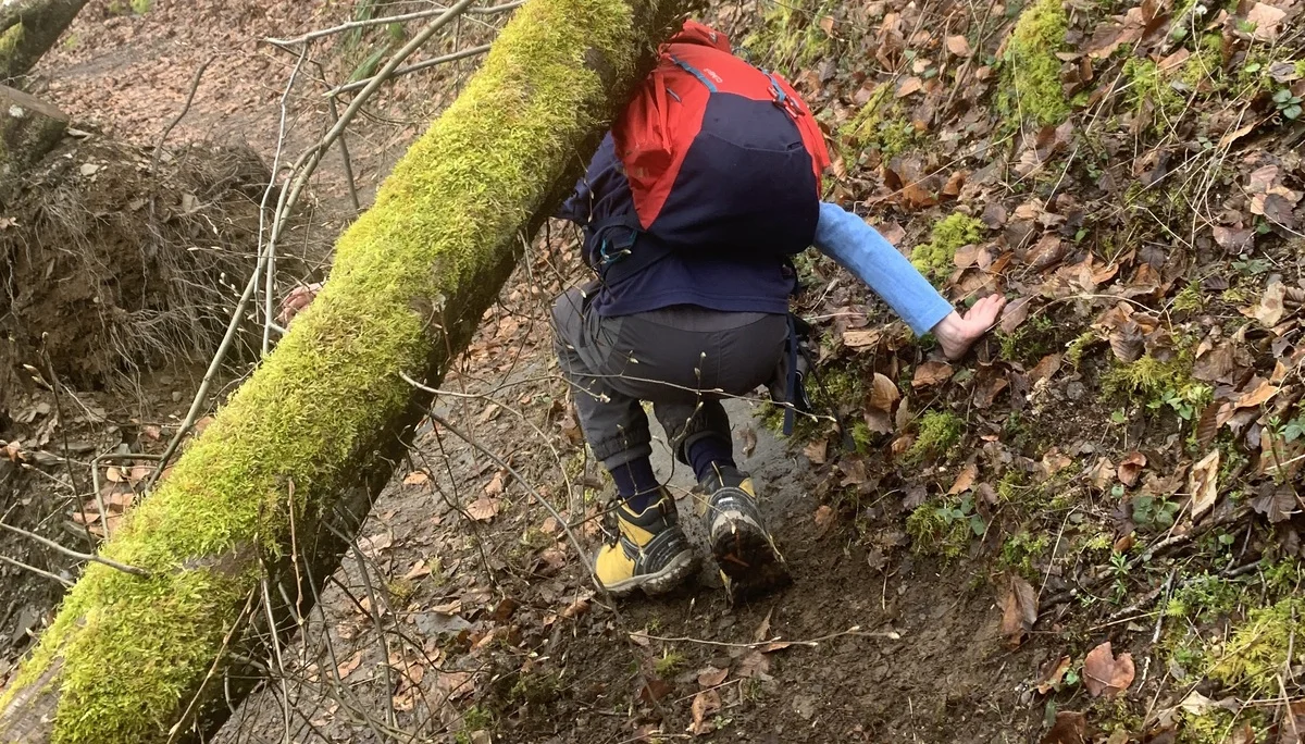 Baybachklamm Hürde | © Grynet Dauer