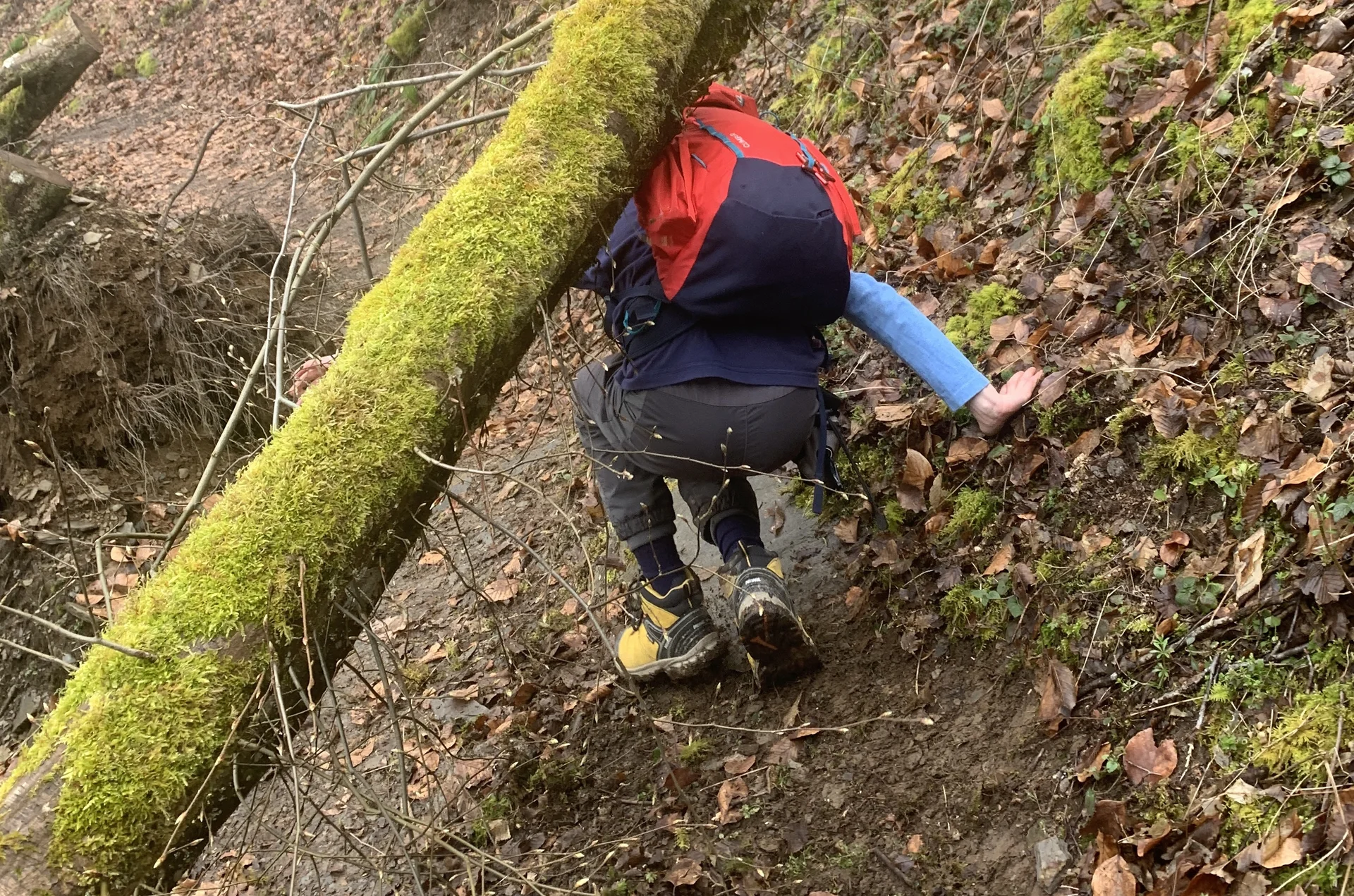 Baybachklamm Hürde | © Grynet Dauer