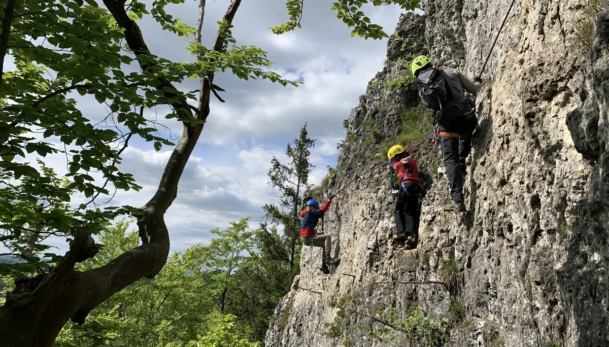 © Grynet und Jörg Dauer
