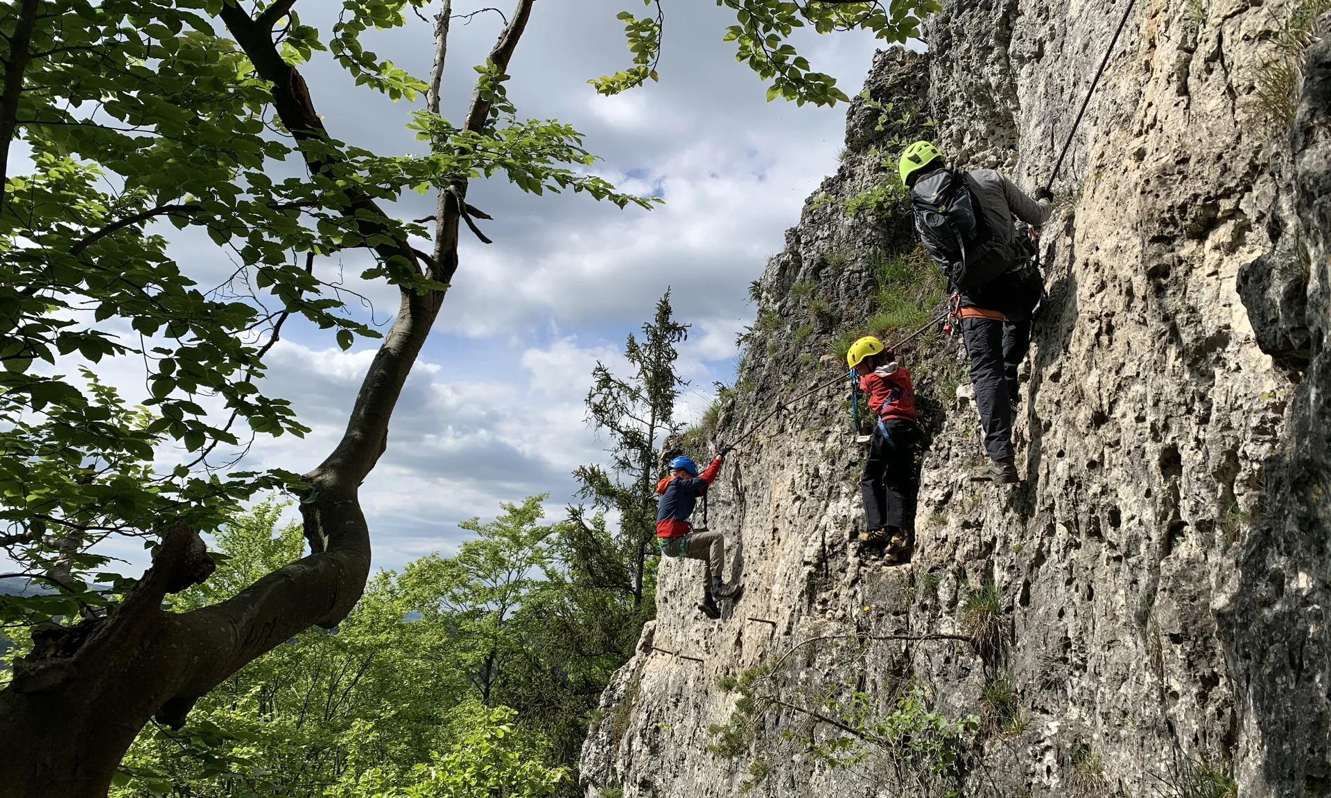 © Grynet und Jörg Dauer