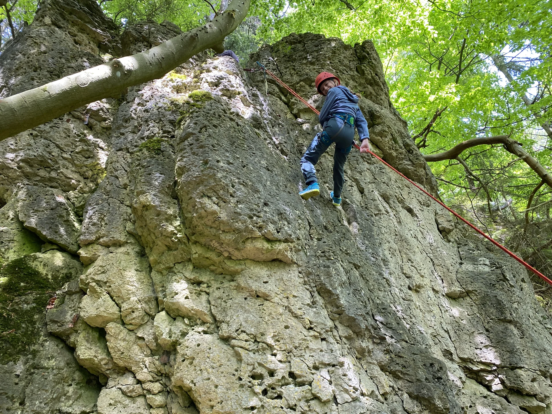 © Grynet und Jörg Dauer