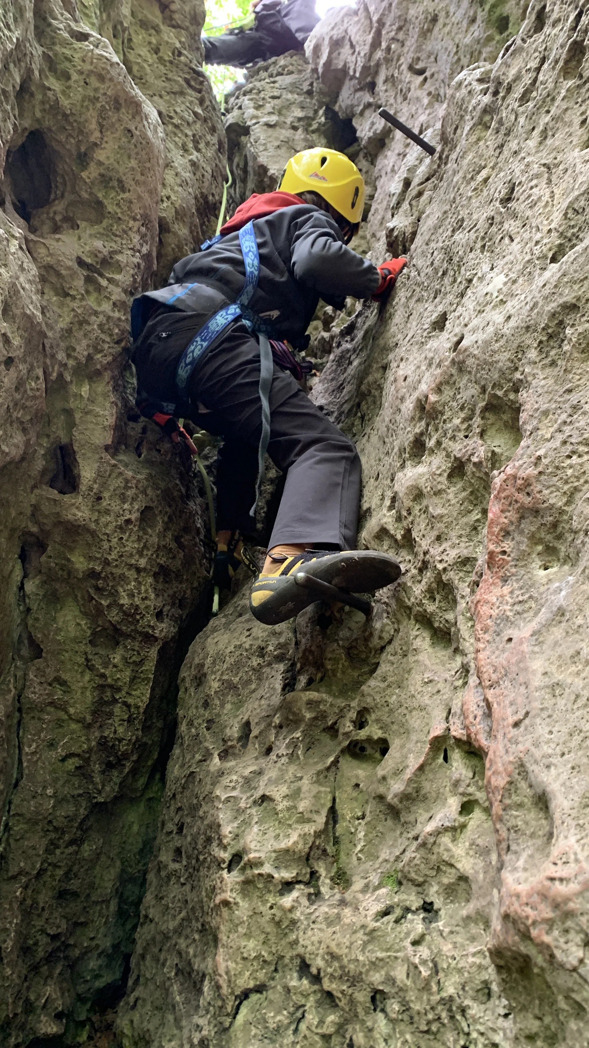 © Grynet und Jörg Dauer