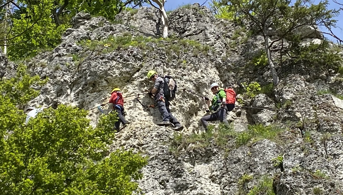 © Grynet und Jörg Dauer