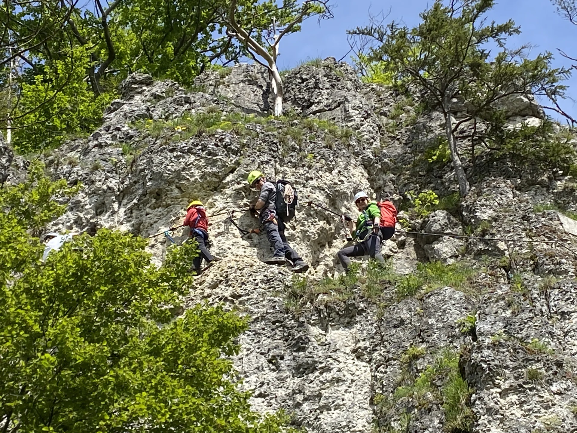 © Grynet und Jörg Dauer