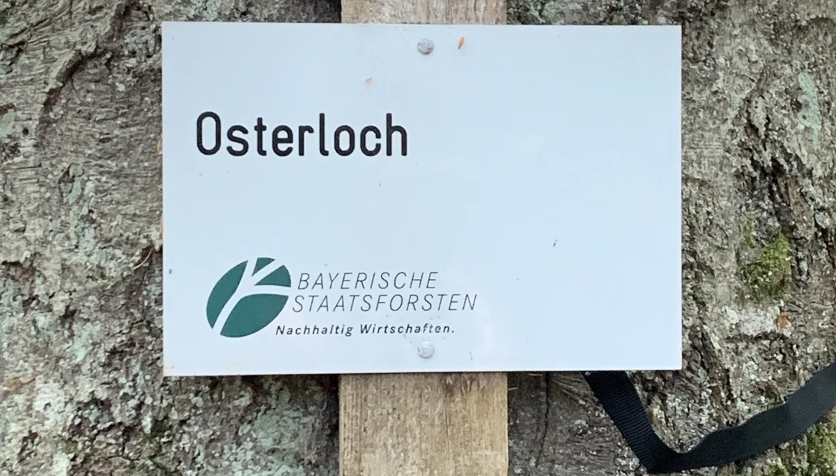 © Grynet und Jörg Dauer