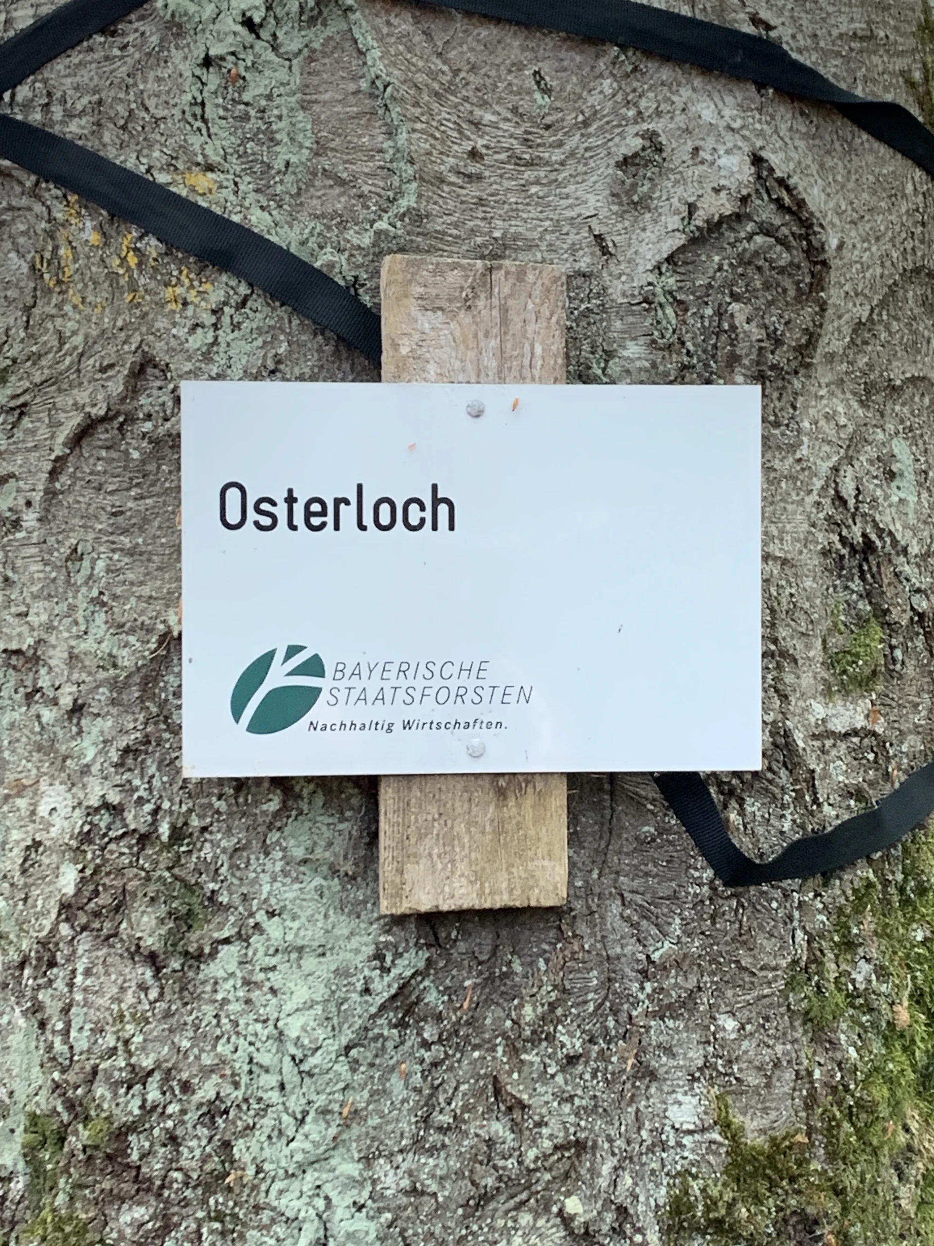 © Grynet und Jörg Dauer