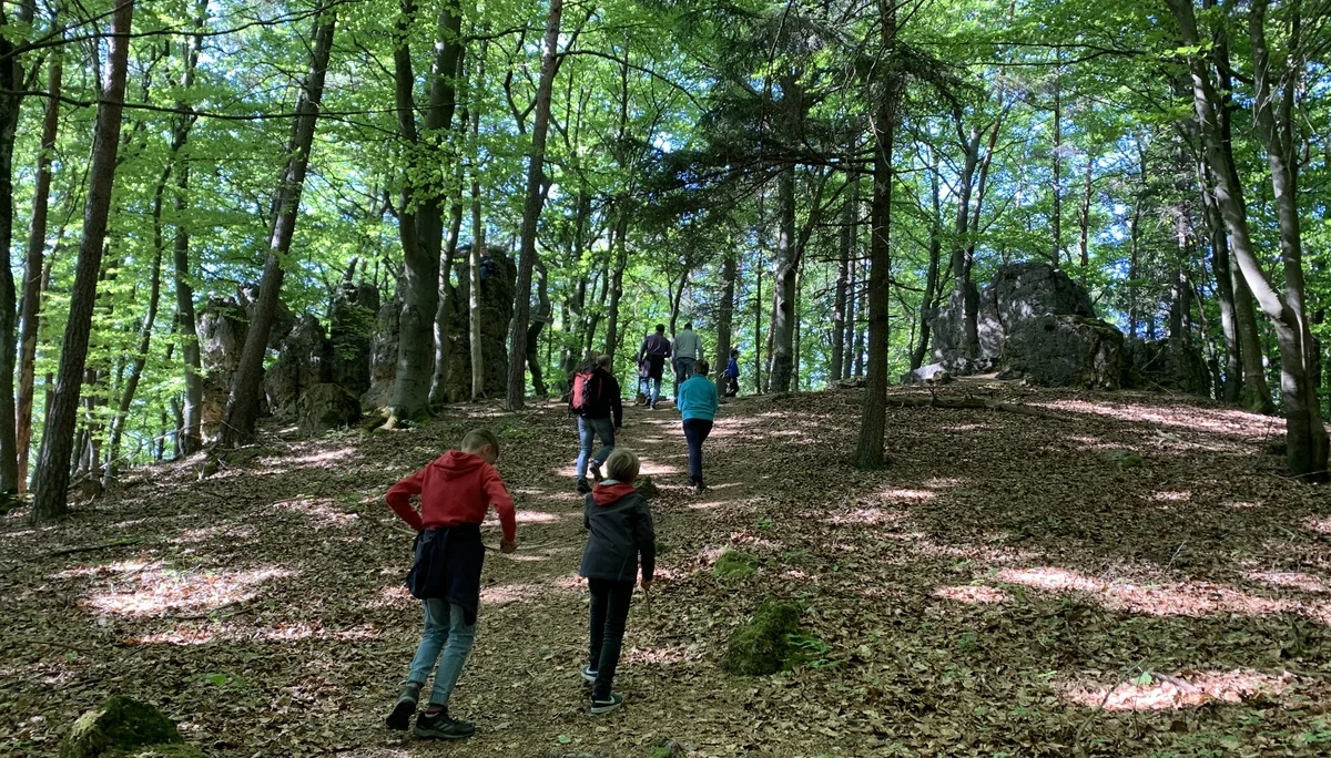 © Grynet und Jörg Dauer