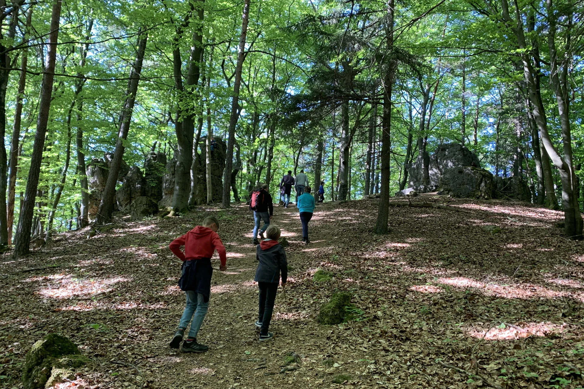 © Grynet und Jörg Dauer