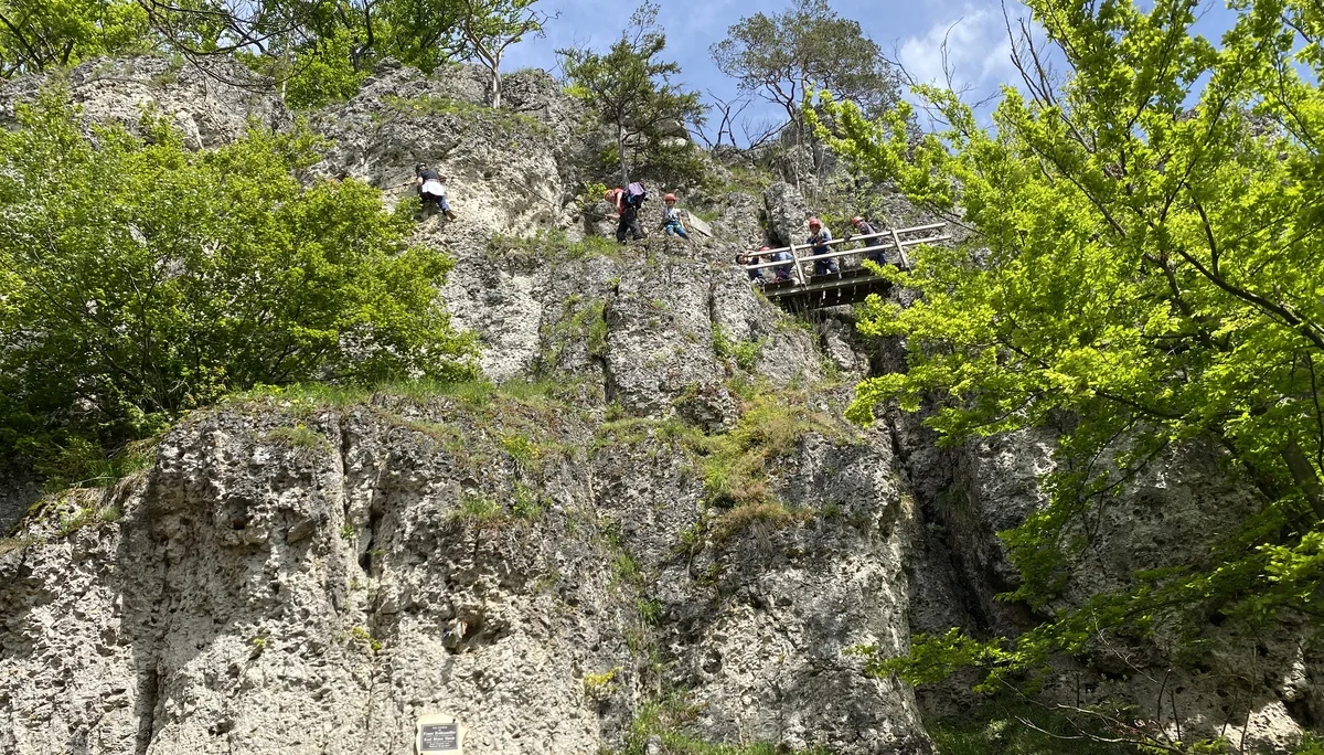 © Grynet und Jörg Dauer