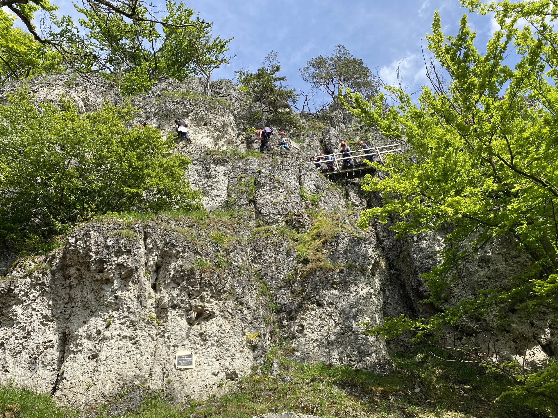 © Grynet und Jörg Dauer