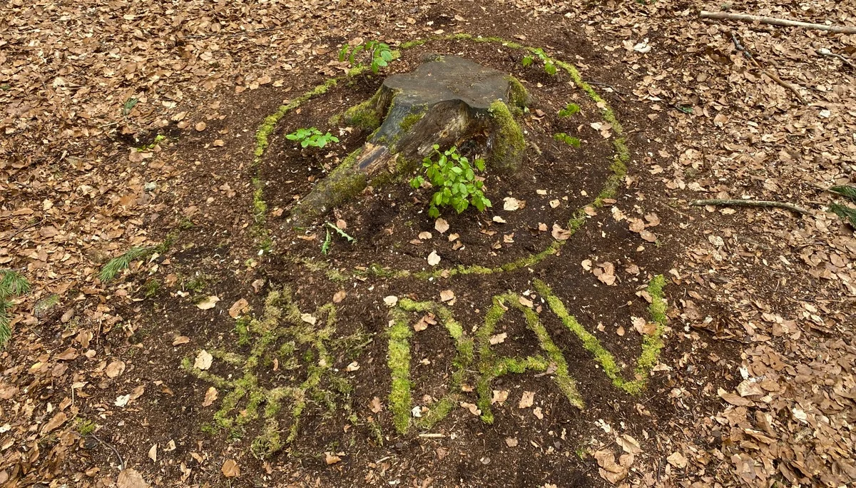 © Grynet und Jörg Dauer