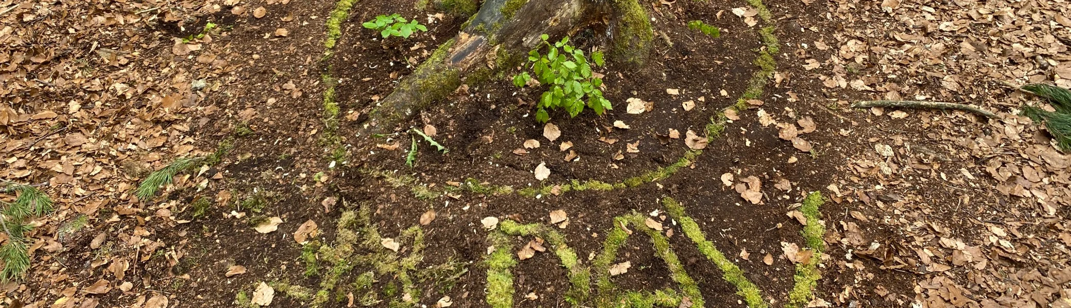 © Grynet und Jörg Dauer