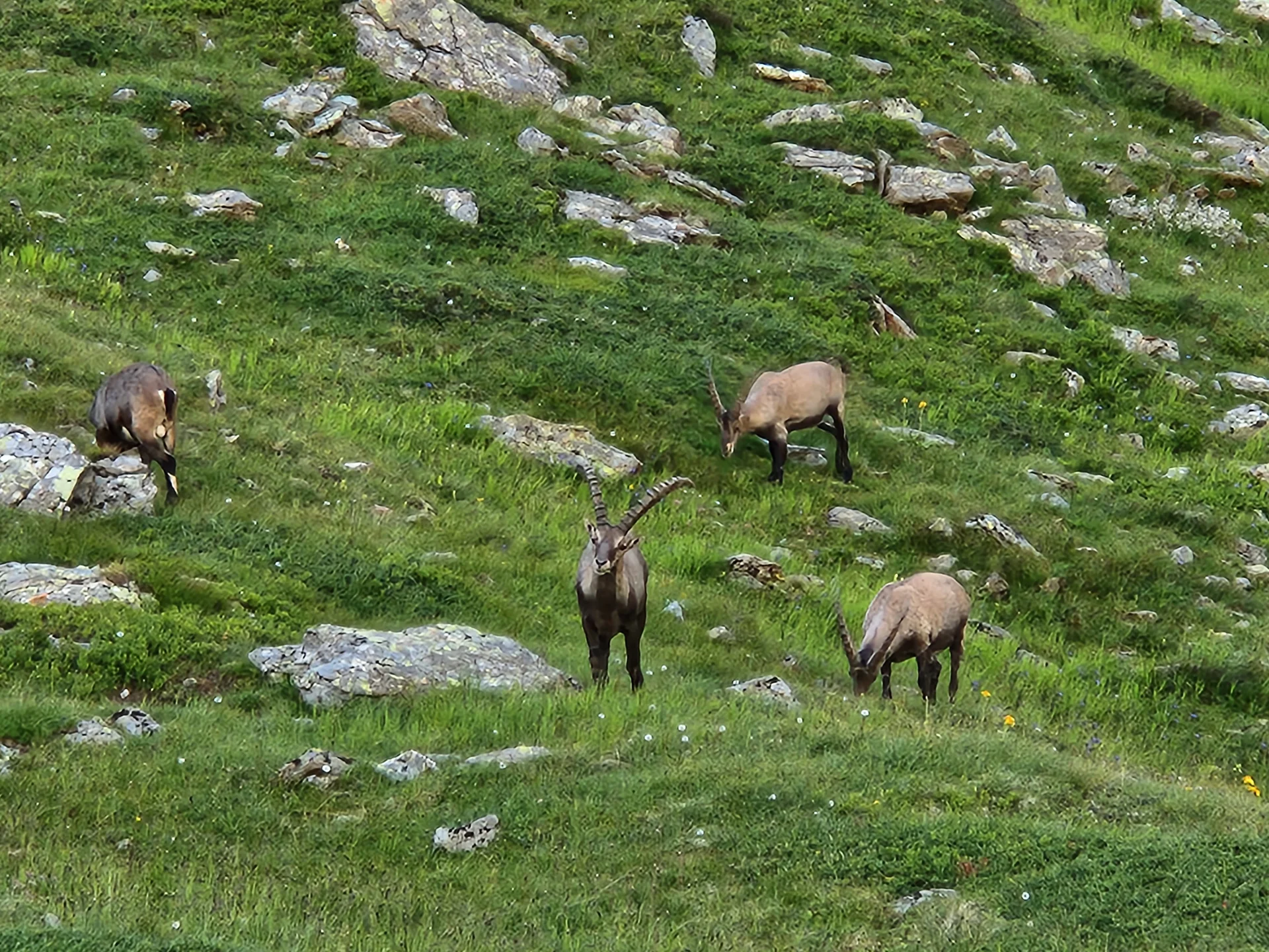 © Familiengruppe