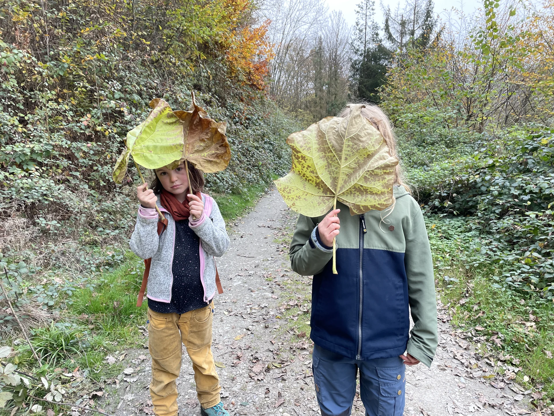 © Familiengruppe