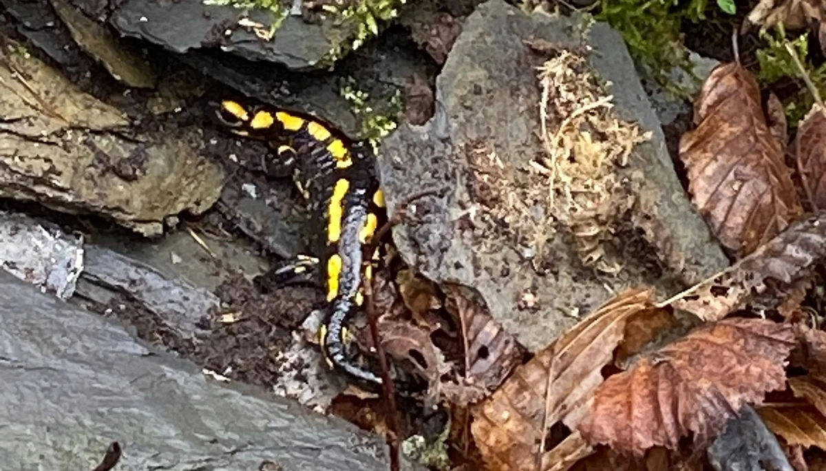 © DAV Koblenz Familiengruppe