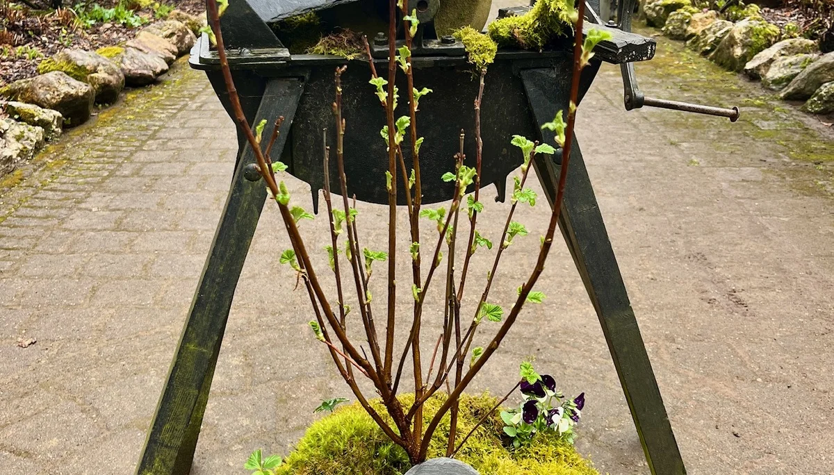 © DAV Koblenz Familiengruppe