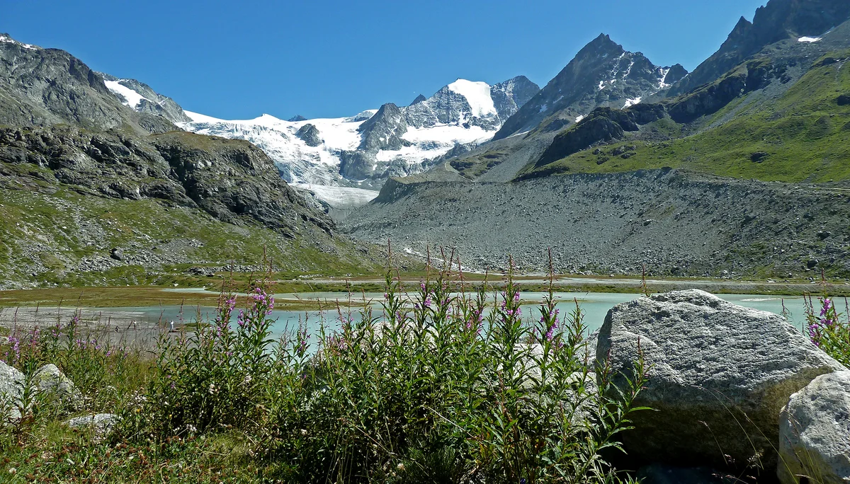 Moiry Gletscher vom Lac de Châteaupré, im Hintergrund links der S-Grat der Pigne de la Le | © DAV Koblenz | Hulley