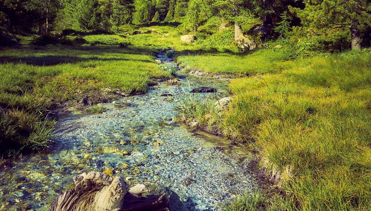 © János Palik | www.basaltblick.de