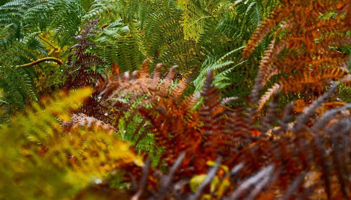 © János Palik | www.basaltblick.de