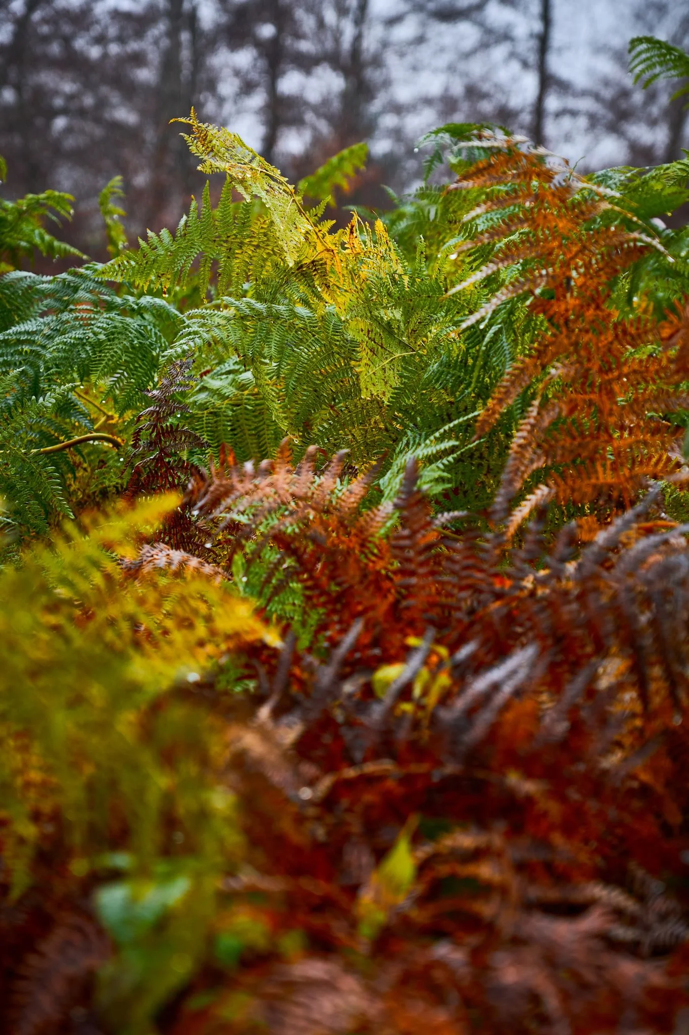 © János Palik | www.basaltblick.de