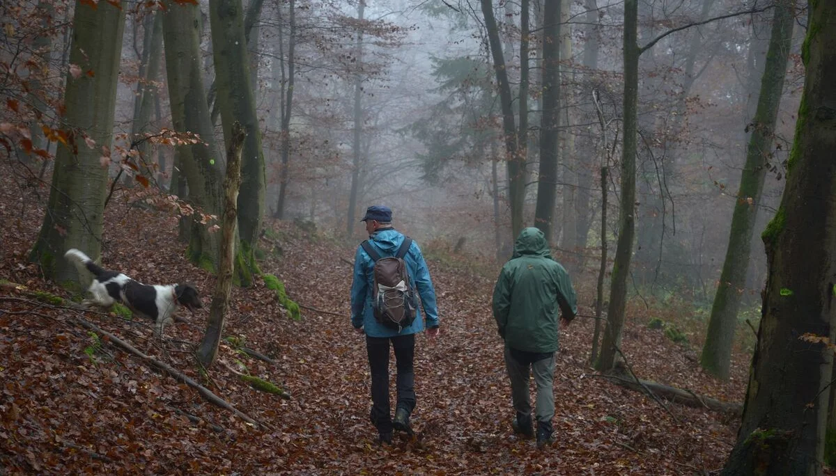 © János Palik | www.basaltblick.de