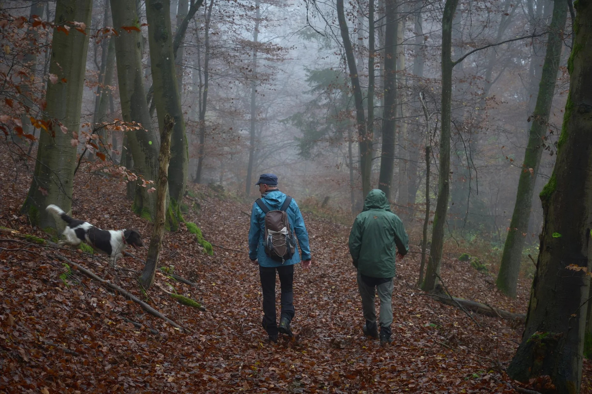 © János Palik | www.basaltblick.de