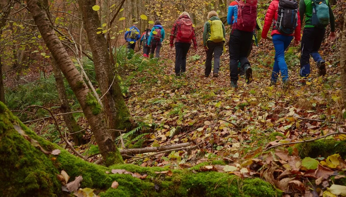 © János Palik | www.basaltblick.de