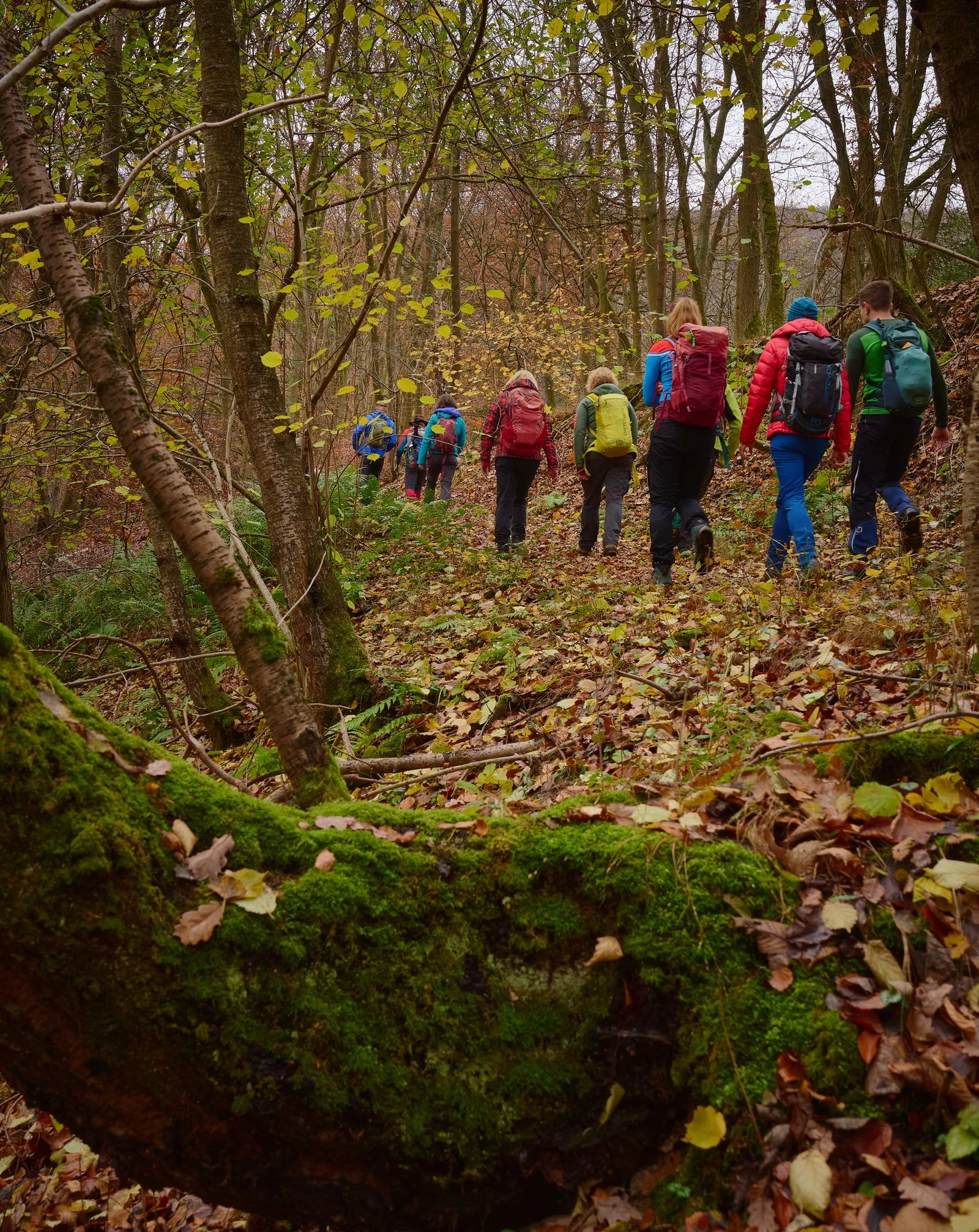 © János Palik | www.basaltblick.de
