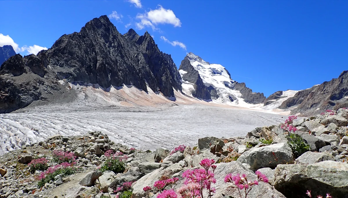 Glacier Blanc, im Hintergrund der Barre des Écrins (4.102m) | © DAV Koblenz | Hulley